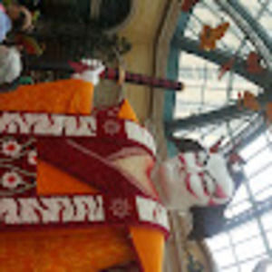 Meet your Posher, Lorenzo